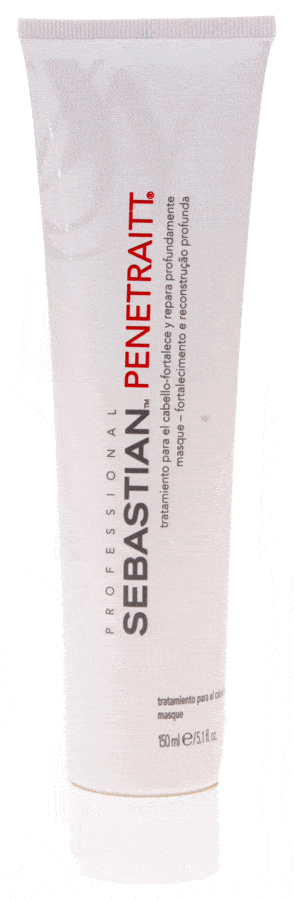 Sebastian Professional Penetraitt Mask 150 ml